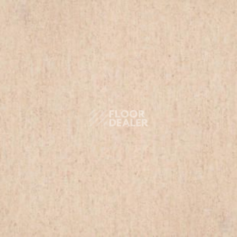 Линолеум Tarkett Travertine Pro BEIGE 01 фото 1 | FLOORDEALER